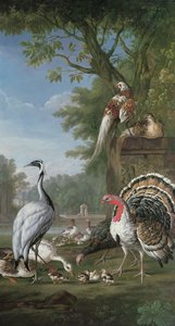 مجموعة الطيور الغريبة (زيت) بواسطة بيتر كاستيلز